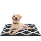 Indoor Door Mats Machine Washable Rugs 24x17 Inch Small Door Mat