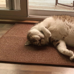 Indoor Door Mats Washable Tufting Front Door Mat